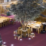 Flooring for schools