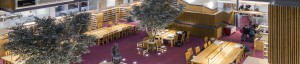Flooring for schools